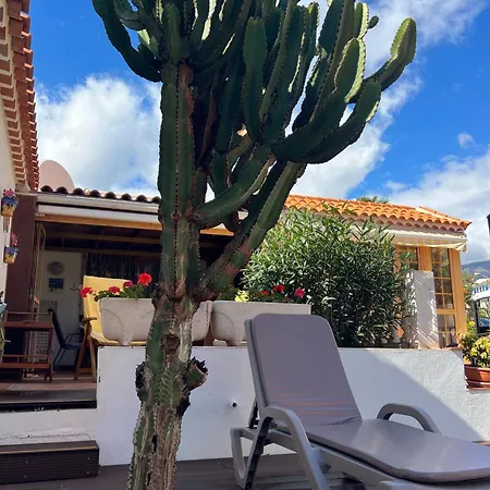 Cactus's House, 150 M Beach, 1 Bdr, 4 Guests, Wifi, Netflix, * 아데제