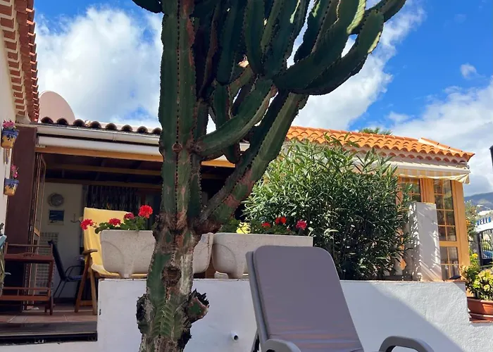 Cactus's House, 150 M Beach, 1 Bdr, 4 Guests, Wifi, Netflix, * Costa Adeje (Tenerife)